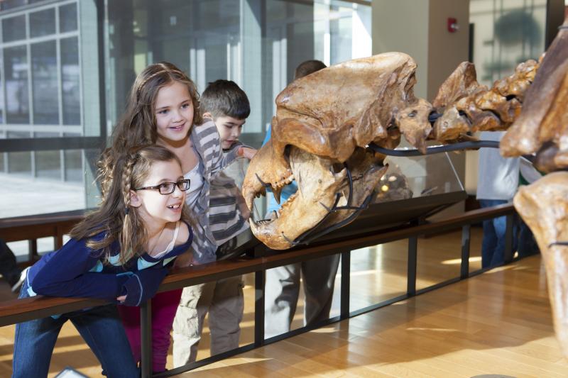 Three children look at a dinosaur skeleton.