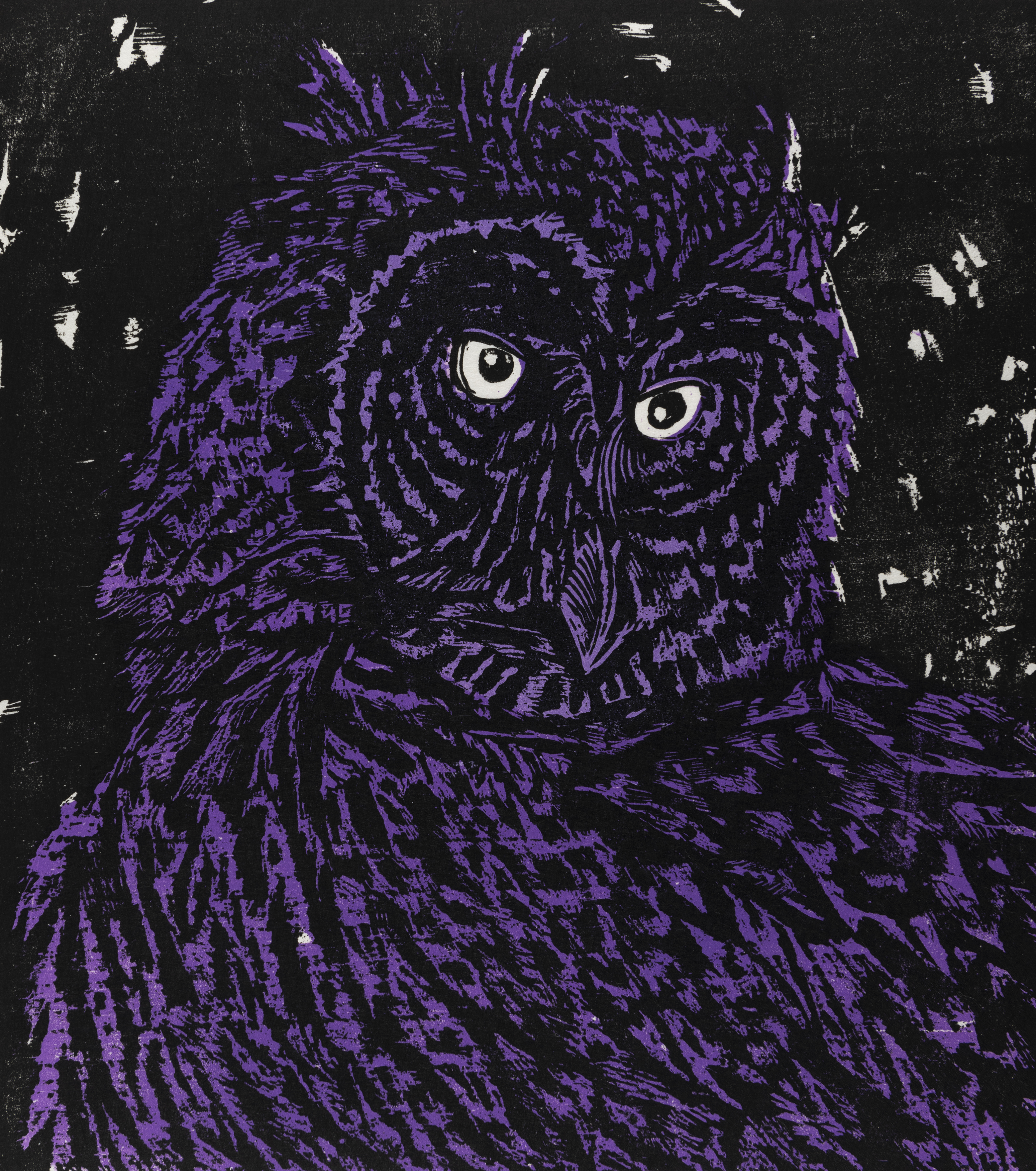 Illustration of purple owl. 