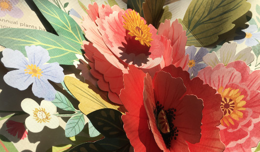 Botanical Pop-Up Books | Carle Museum