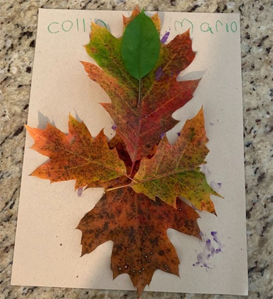 Collage of a figure made from leaves of a variety of colors.