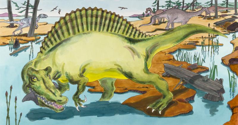 Illustration of spinosaurus walking through water.