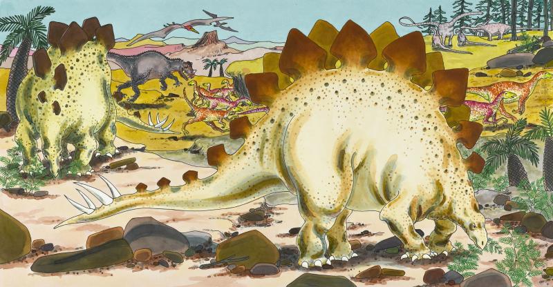 Illustration of Stegosaurus in landscape.