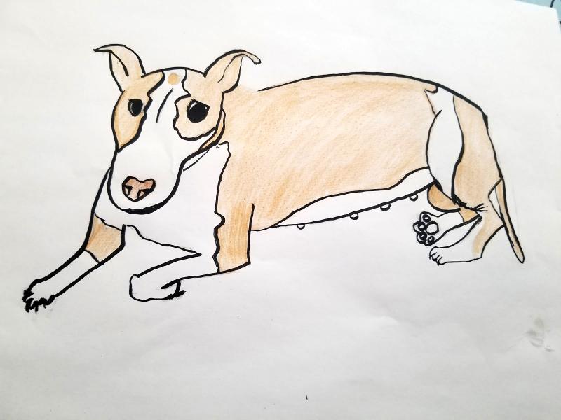 Drawing of a dog