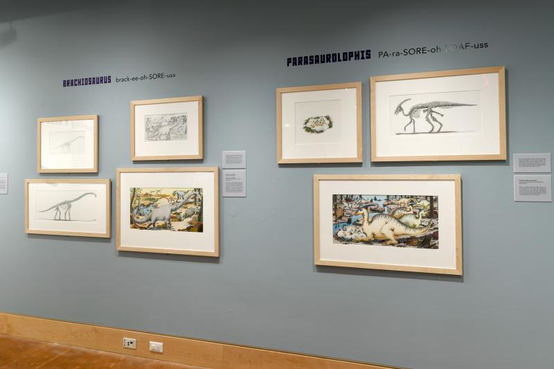 Installation image showing long wall with framed art.