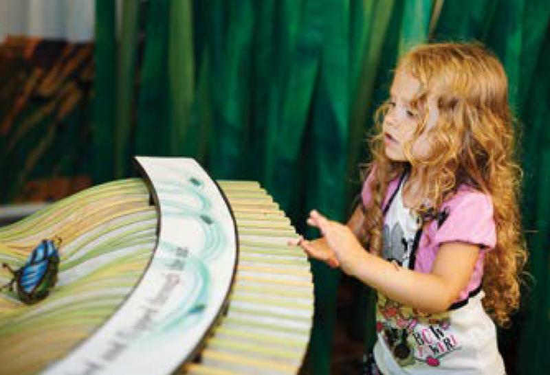 Installation of Eric Carle themed furniture and activities.