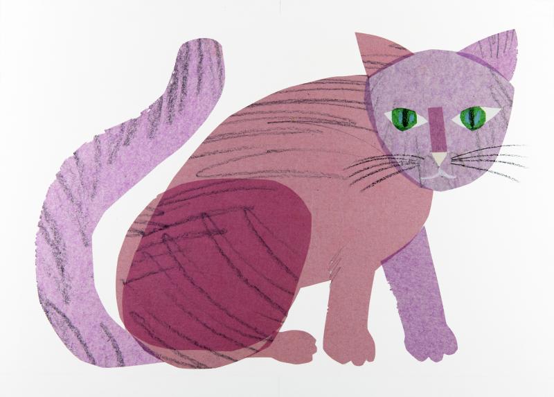 collage of purple cat sitting