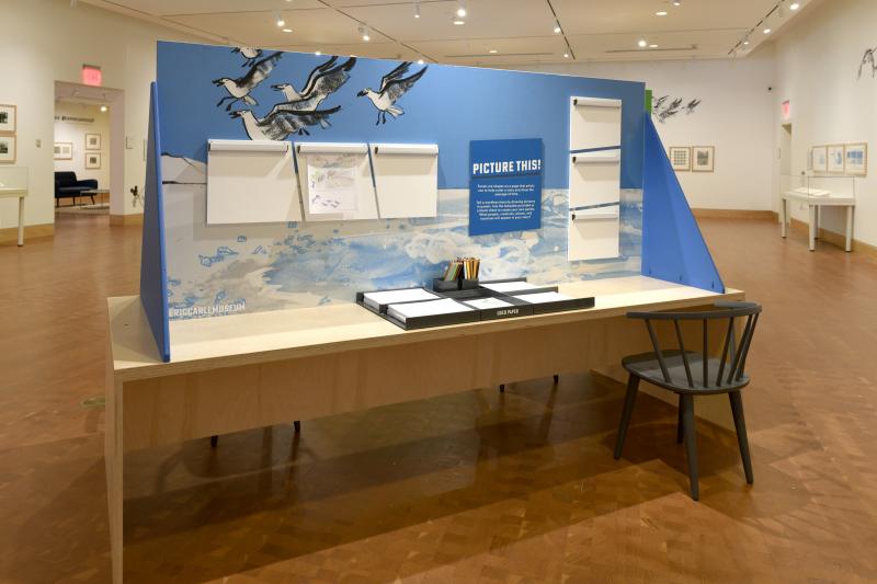 Installation image showing walls with framed art.