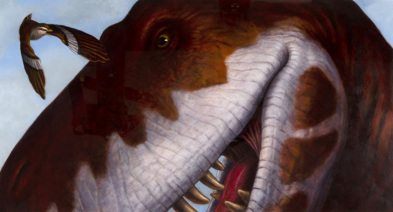 Illustration of bird with T-rex.