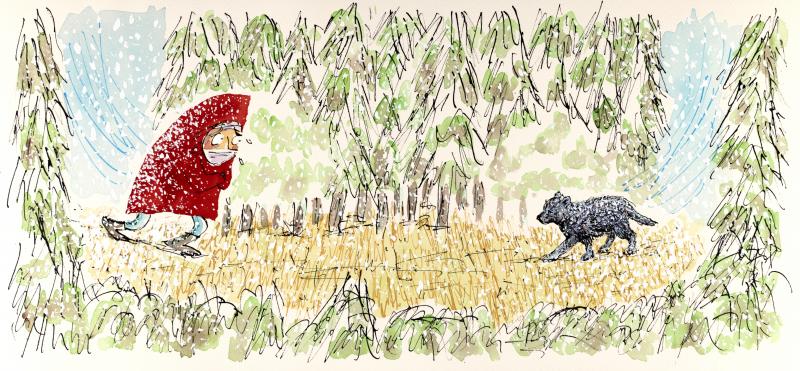 Illustration of child and wolf looking at each other.