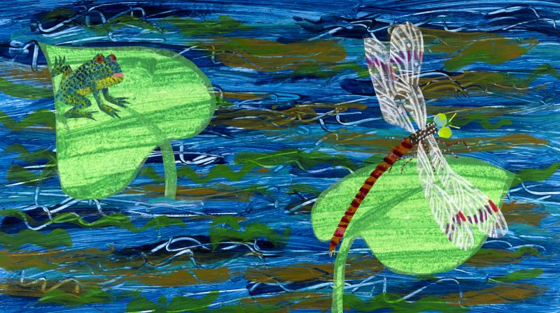 Illustration of frog and dragonfly on leaves.