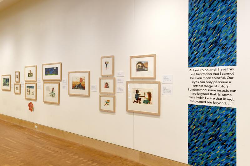 Installation image showing walls with framed art.