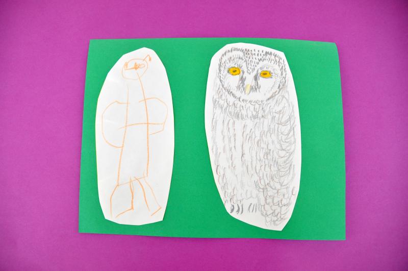 Two colored pencil owl drawings, one with outstretched wings, the other with feather details.