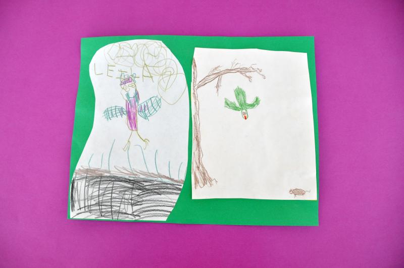 Two colored pencil owl drawings showing the owls in their habitats.