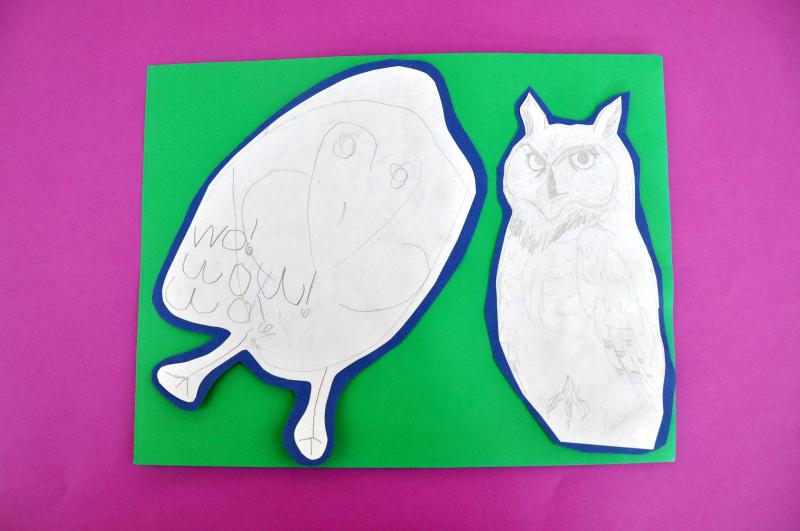 Two pencil drawings of owls.