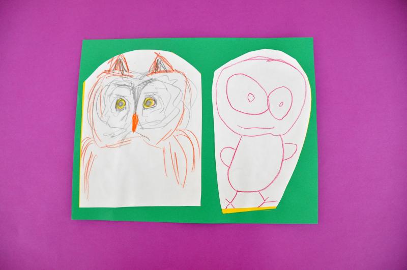 Two colored pencil owl drawings.