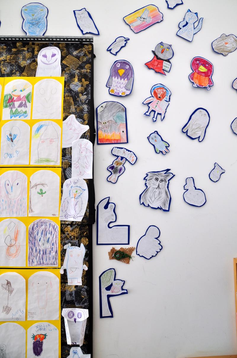 Pencil drawings of owls attached to a bulletin board and wall.