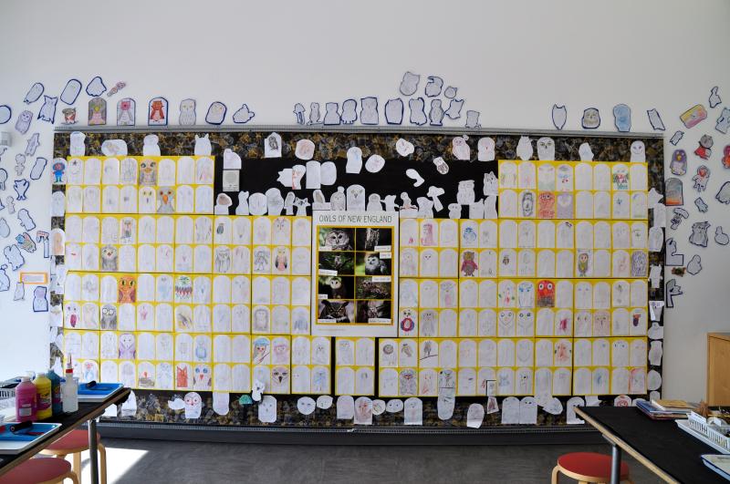 Art Studio display wall filled with drawn owls and an owl photography poster in the middle.