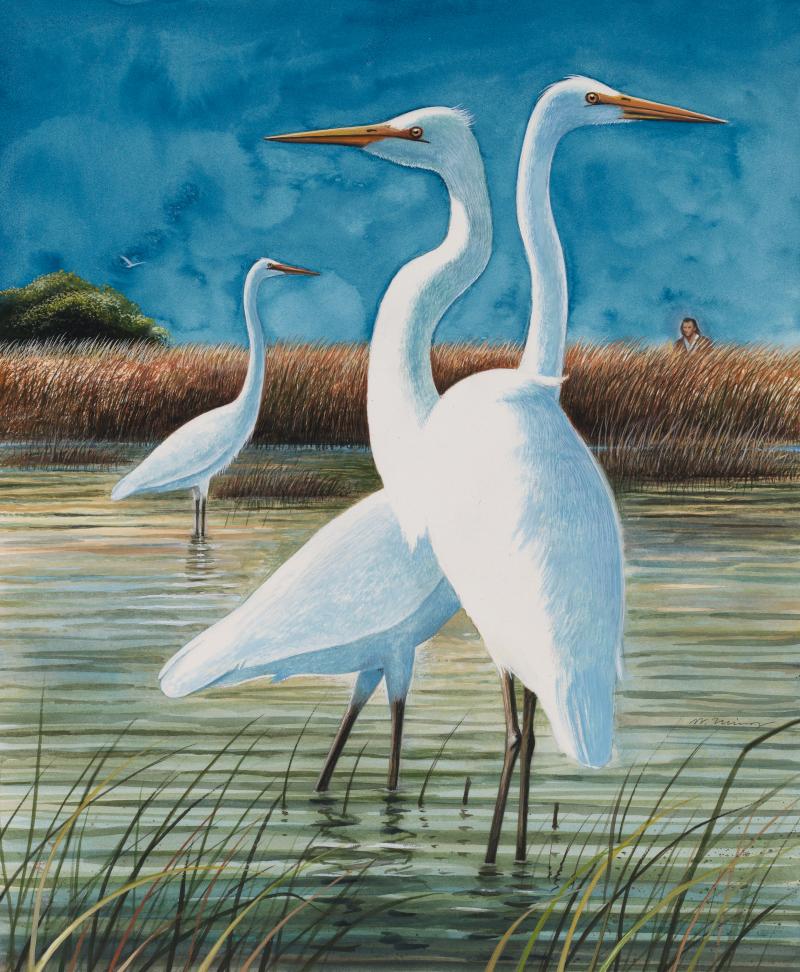 Three egrets stand in the water, with tall grasses and John James Audobon in the background.
