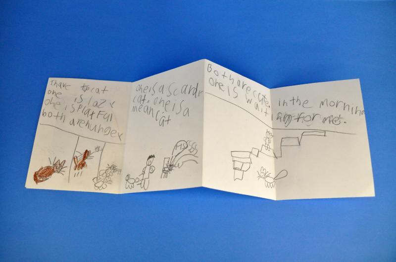 The interior of an accordion fold book with words and drawings describing a cat.