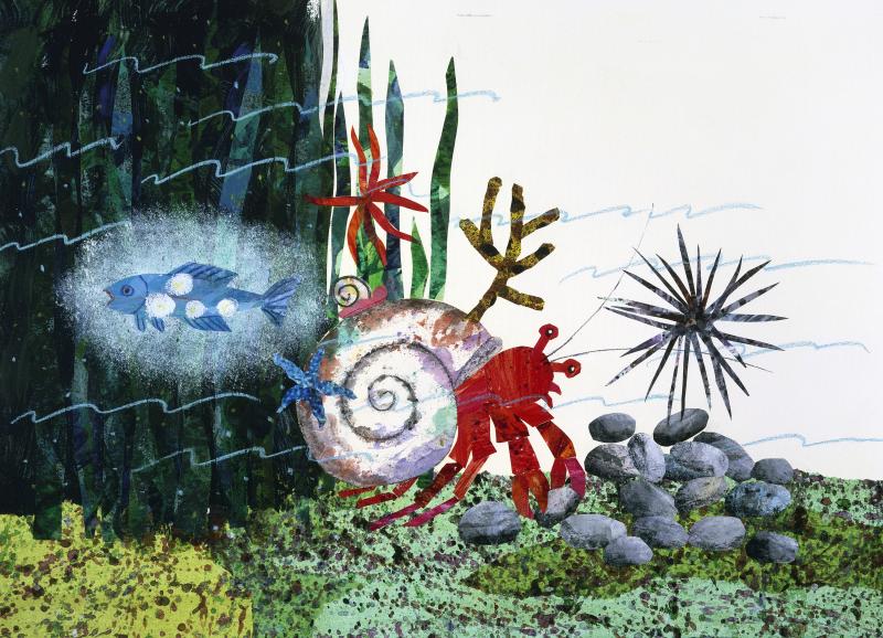 Illustration of hermit crab on rocky sea floor.