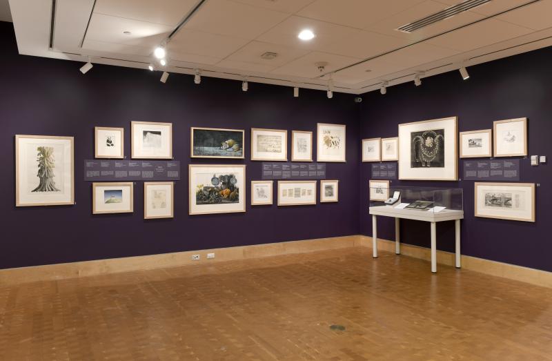 Installation image showing walls with framed art.