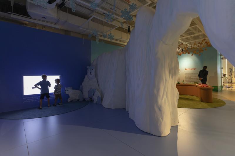 Photograph of gallery showing framed art and graphics.