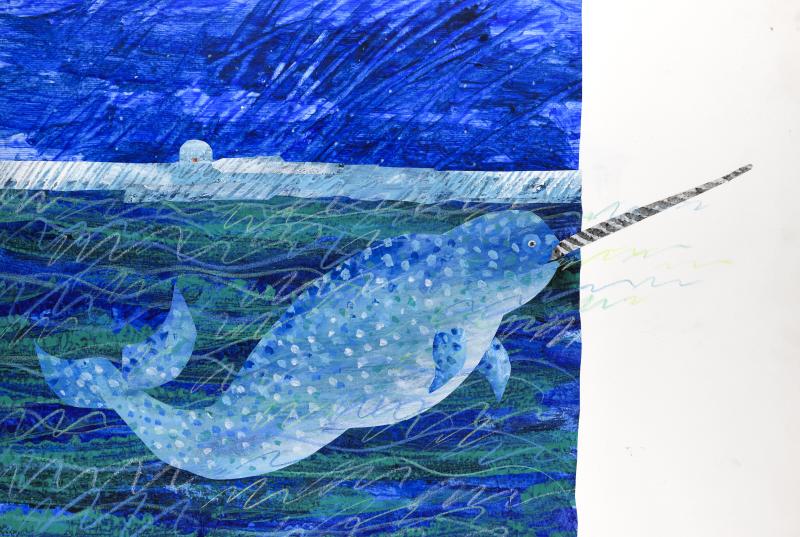 Illustration of narwhal.