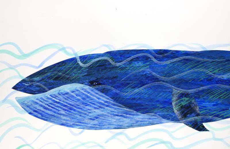 Illusutration of a blue whale.