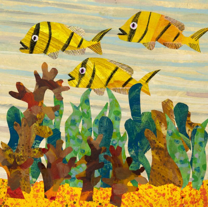 Illustration of clown fish in reef.