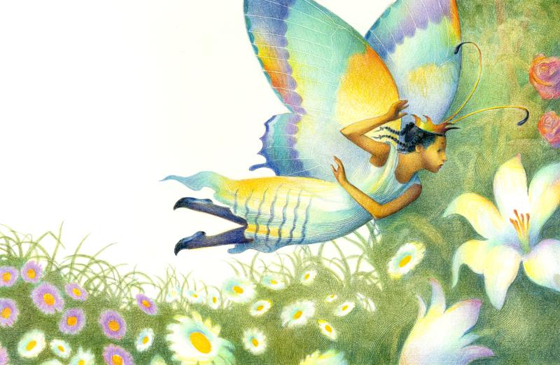 Illustration of a butterfly in flower garden.