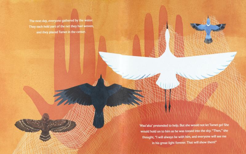 Illustration of birds.