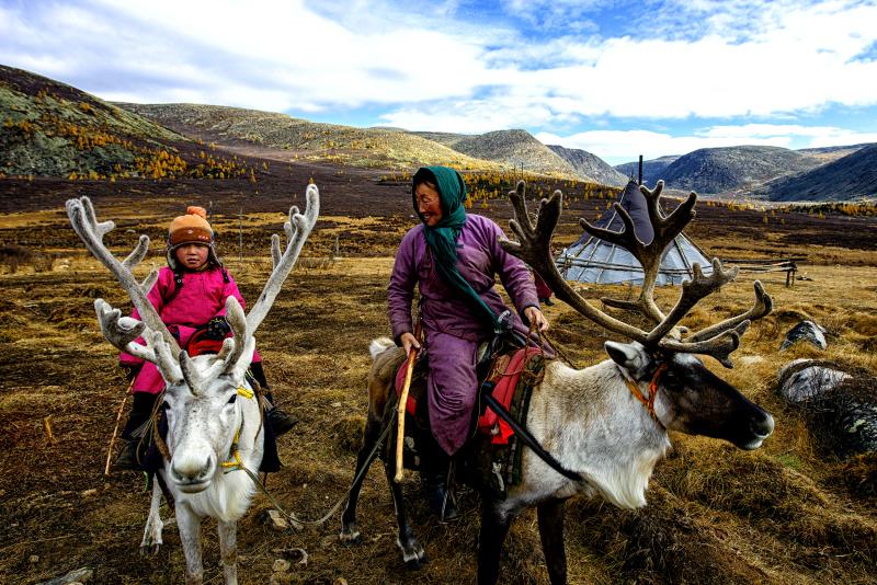 Photograph of reindeer herders.