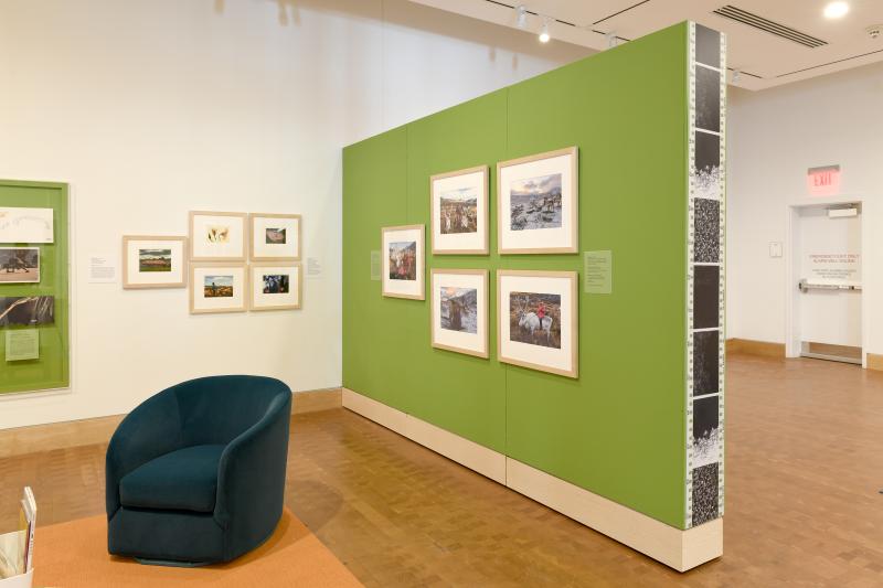 Photograph of gallery showing framed art and graphics.