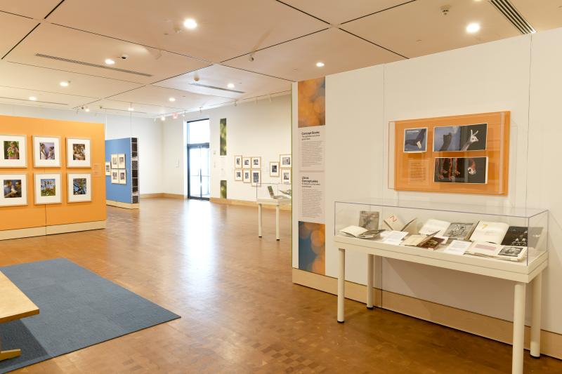 Photograph of gallery showing framed art and graphics.