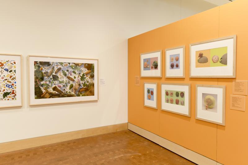 Photograph of gallery showing framed art and graphics.