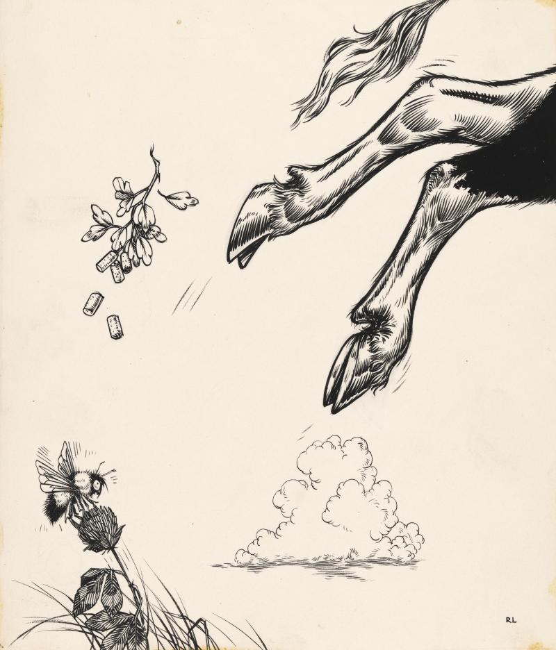 Ink drawing of cow jumping away from flower with bee.