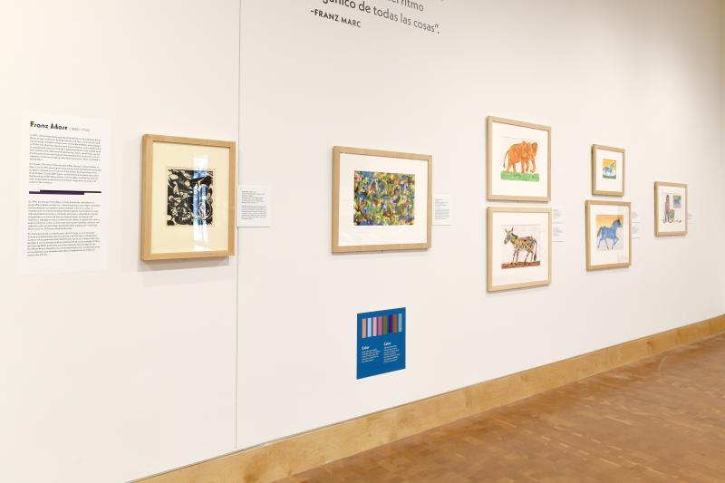 Photograph of gallery showing framed art and graphics.