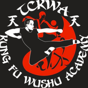 Logo for Chinese Kung Fu Wushu Academy 