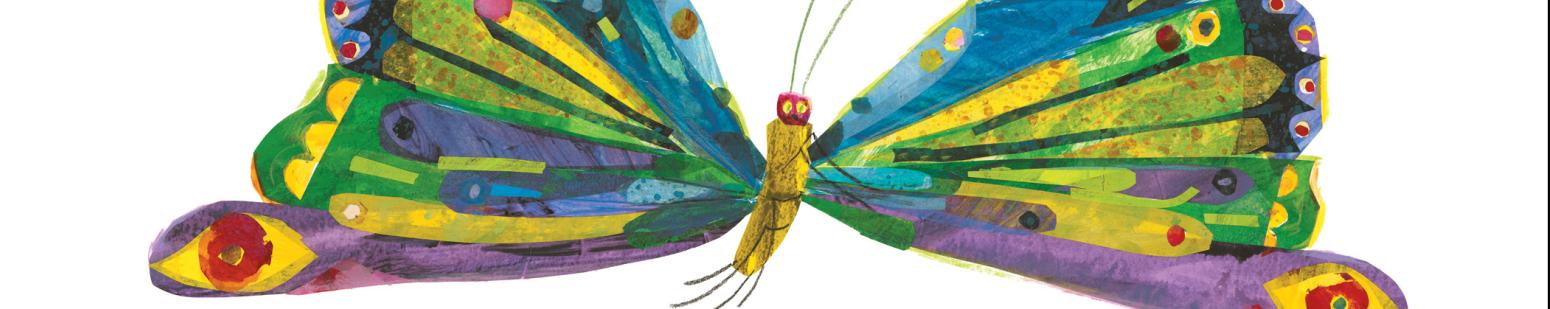 An illustration of a butterfly