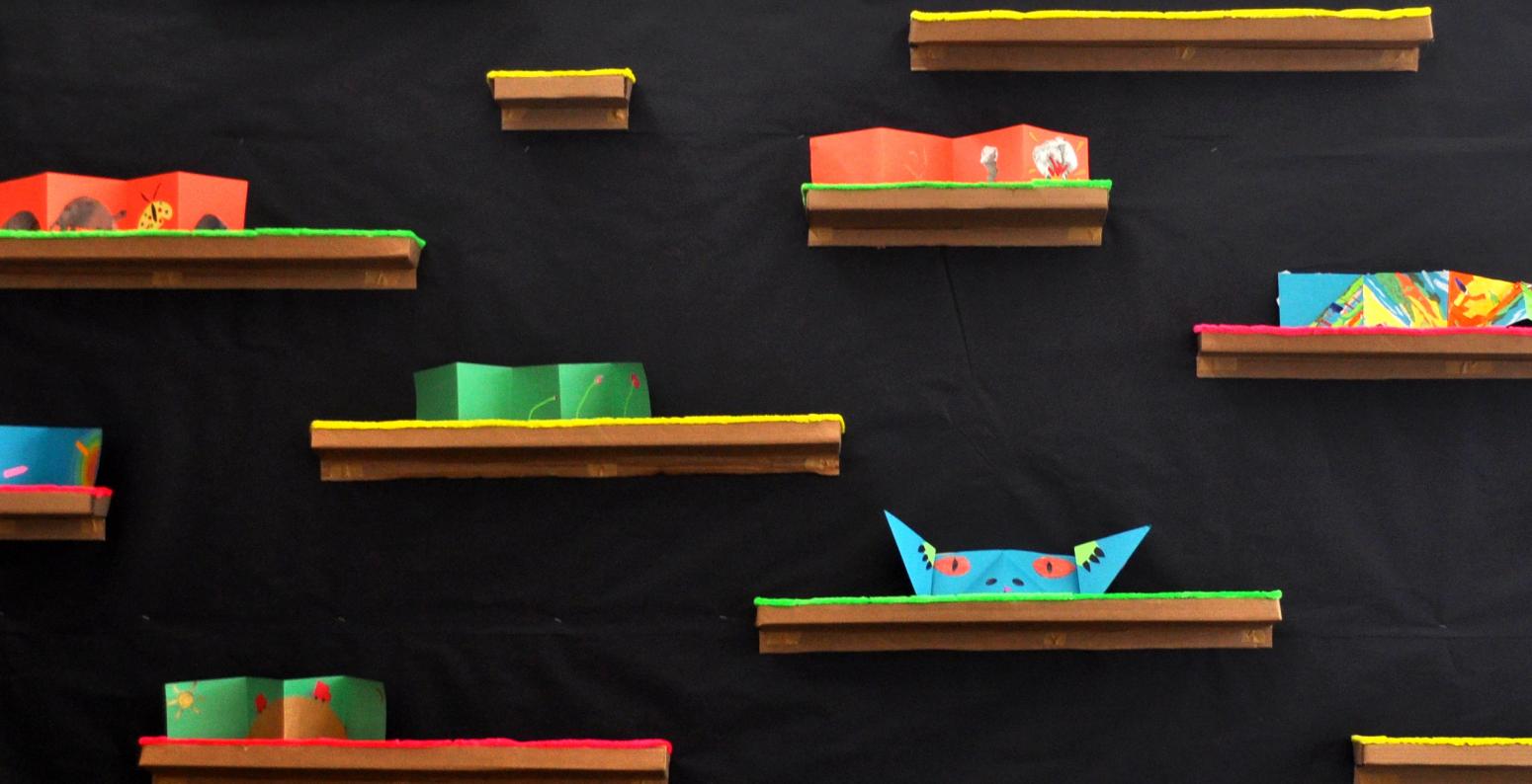 A series of cardboard shelves supporting multi-colored accordion fold books