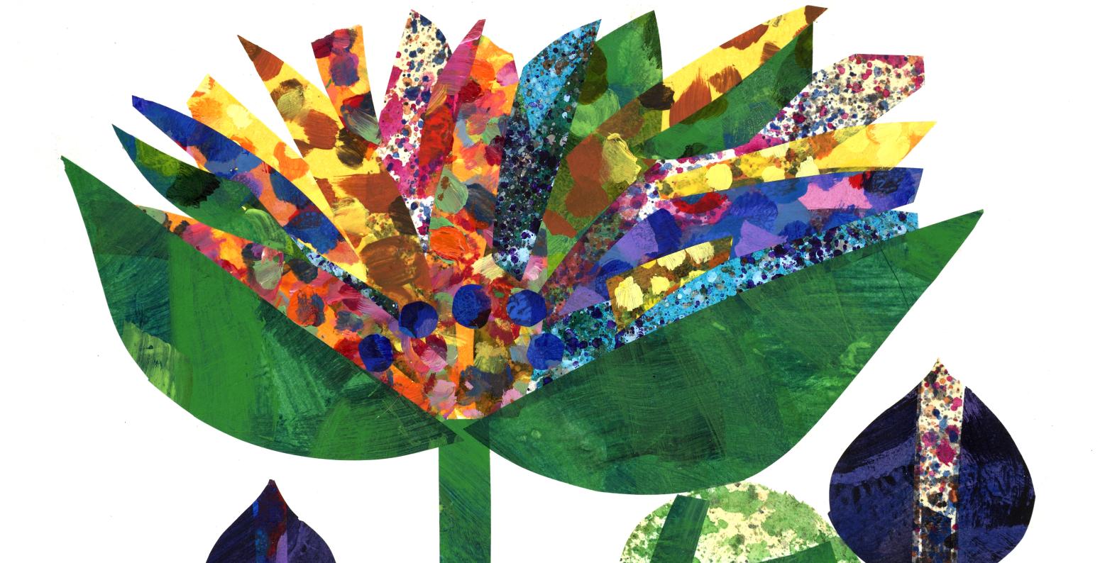 Eric Carle illustration of flowers with colorful seed pods 