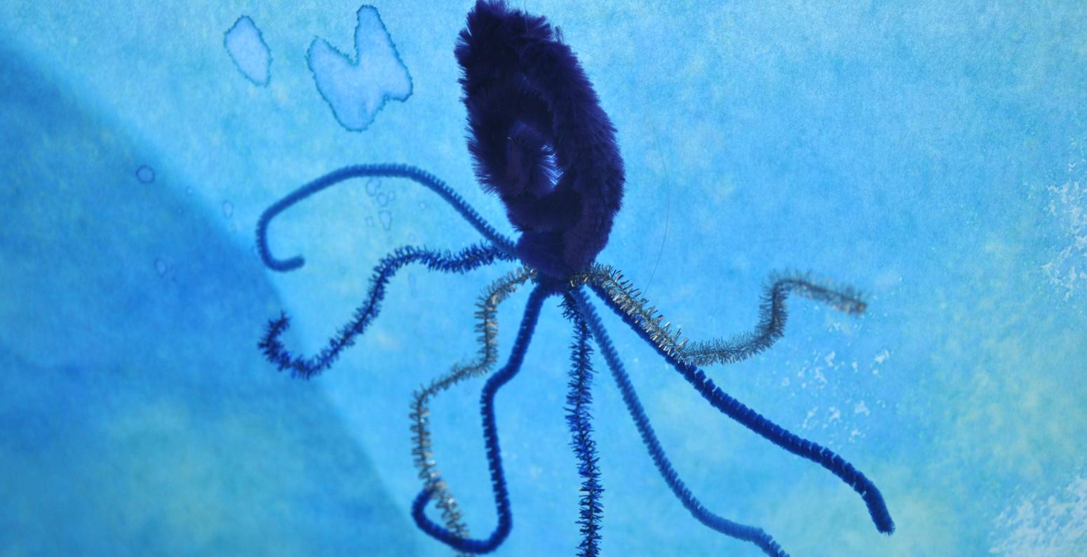 An octopus made out of pipe cleaners in front of a blue backdrop.