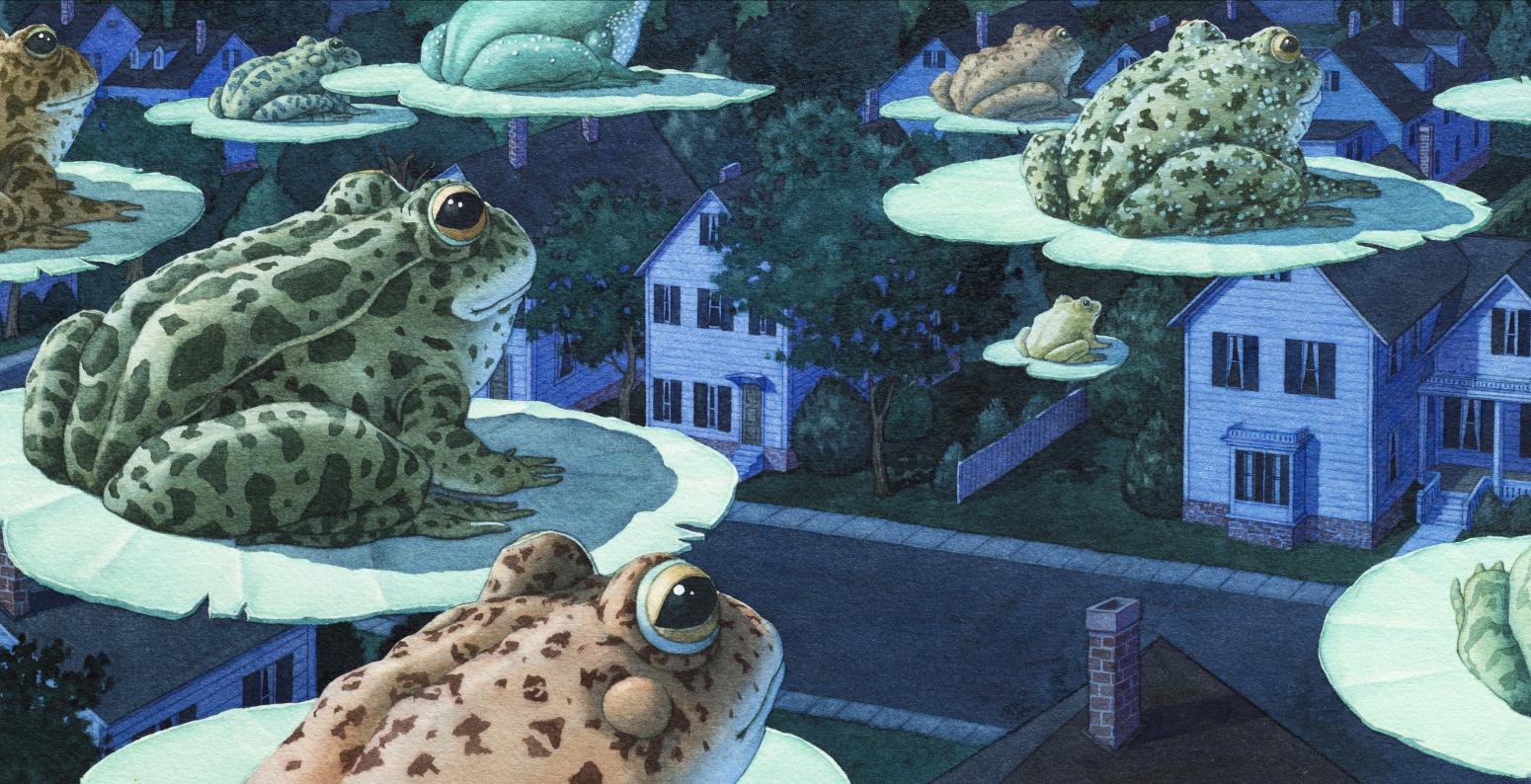 Frogs on lilipads flying across houses at nighttime. 