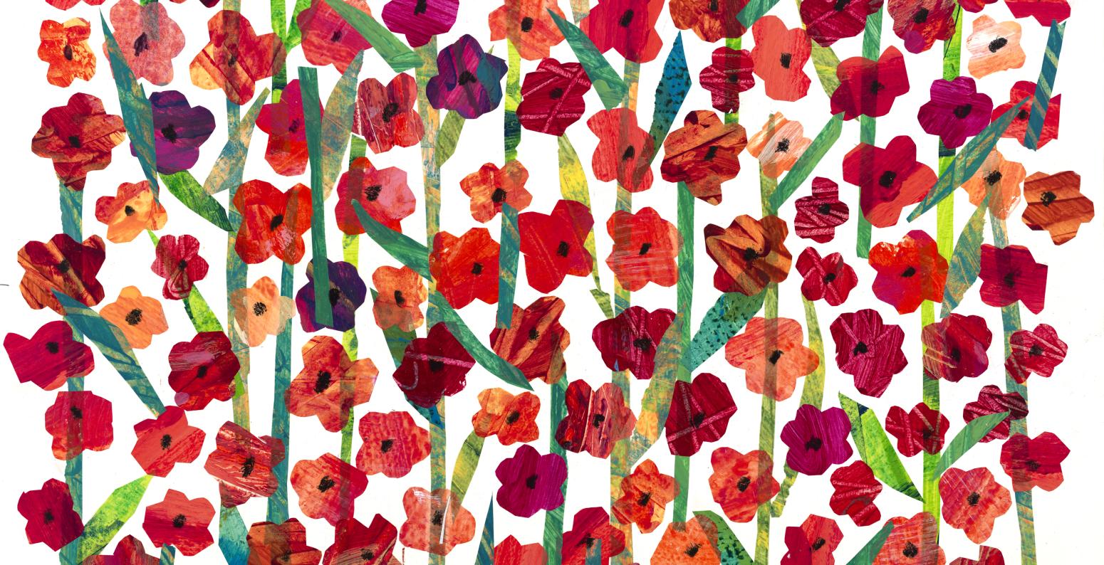 Illustration of poppy flowers. 