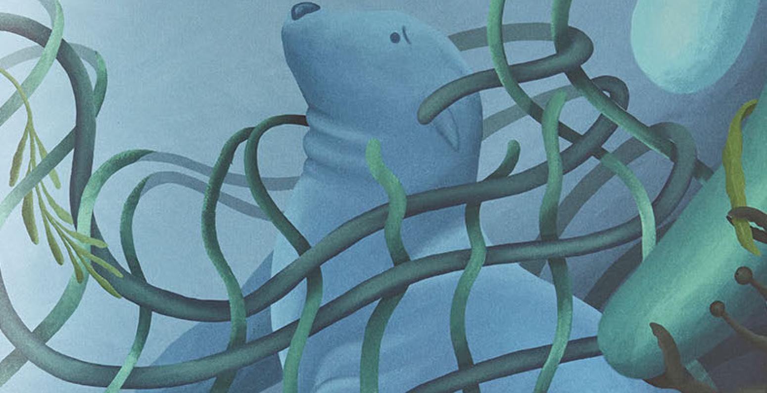 WBS22_BK883_000_ALT6.jpg Seal in ocean caught in net.