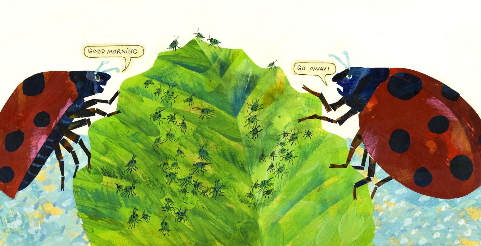 Illustration of two ladybugs talking.