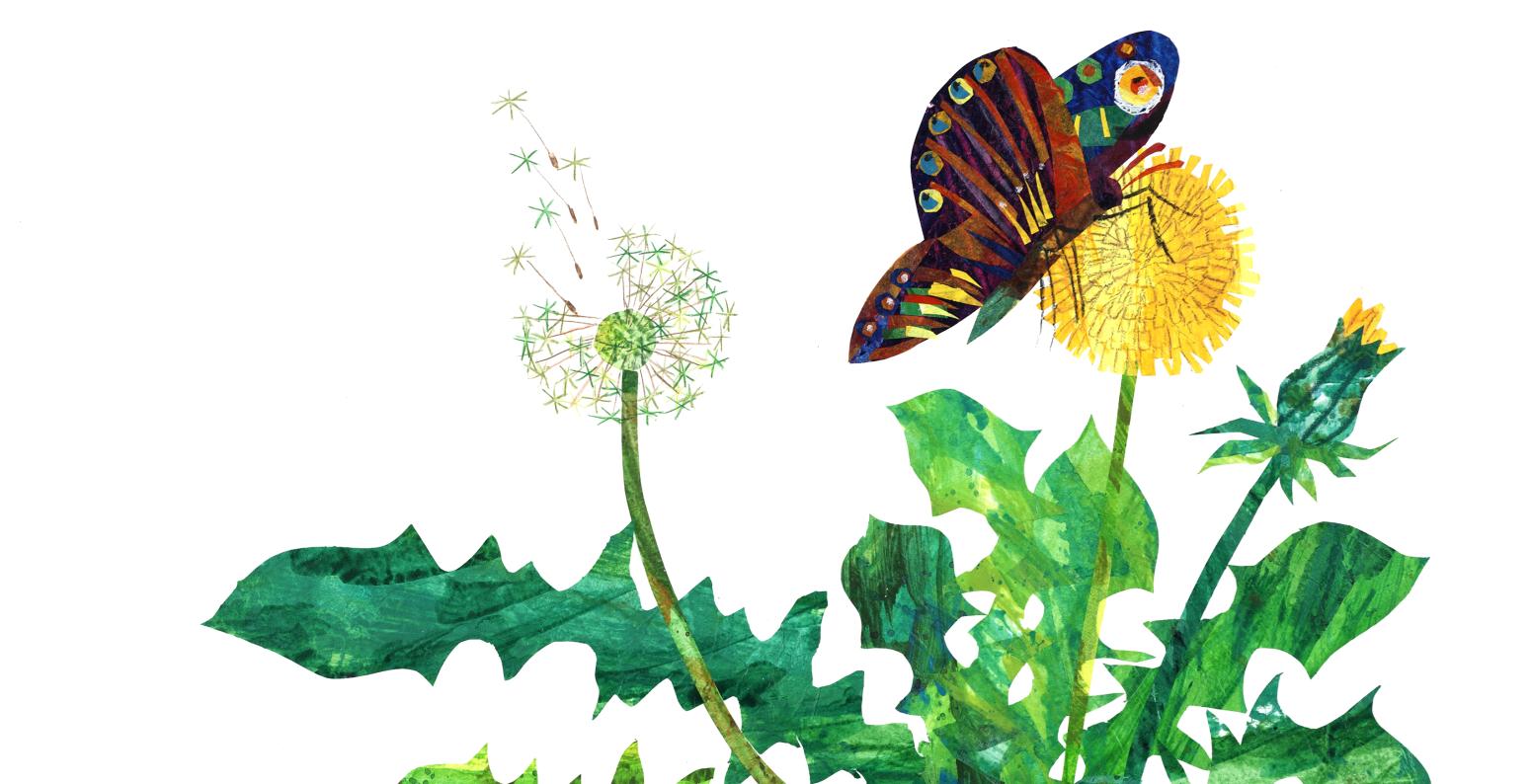 Illustration of butterfly on flower.