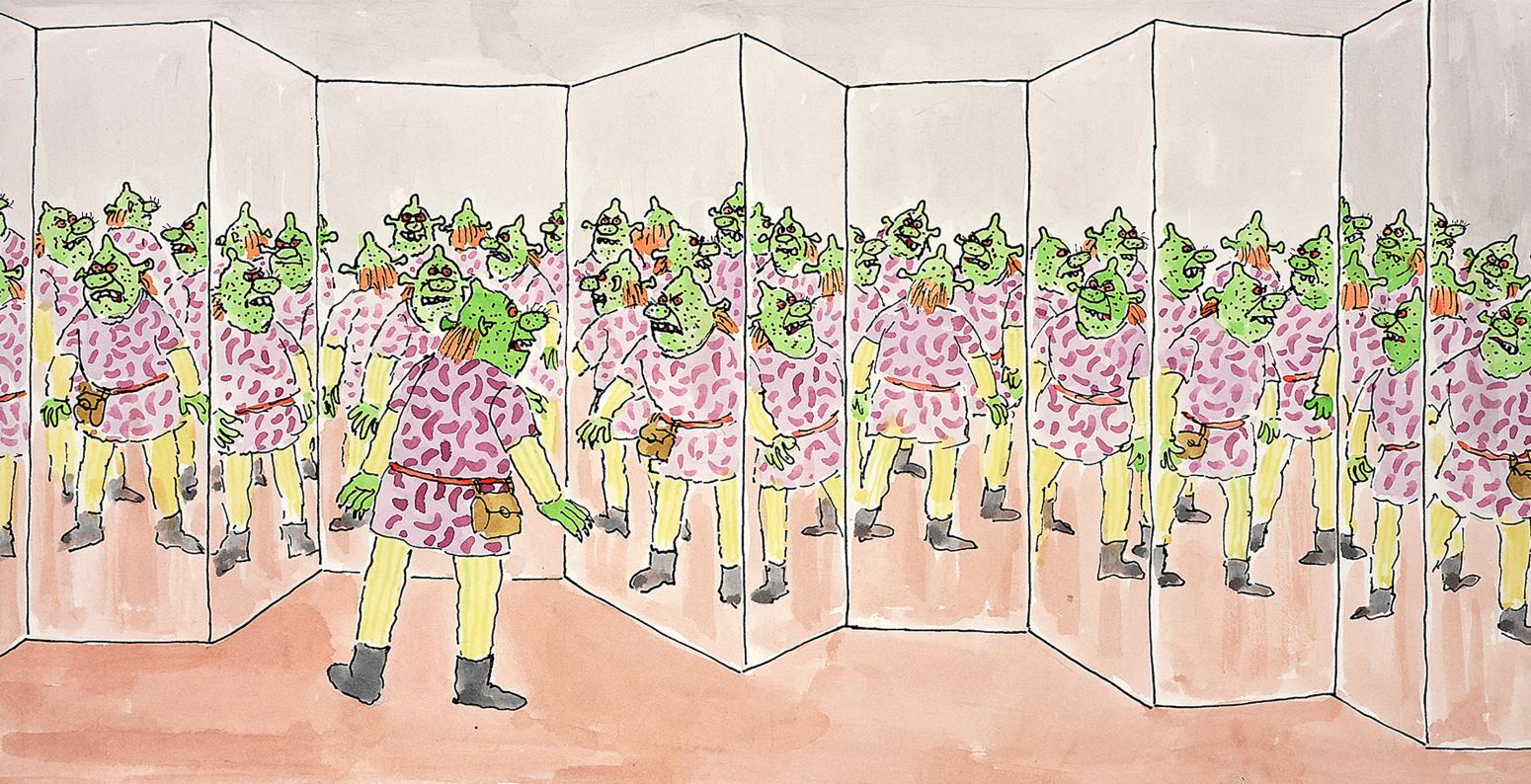 Illustration of shrek in mirrors.
