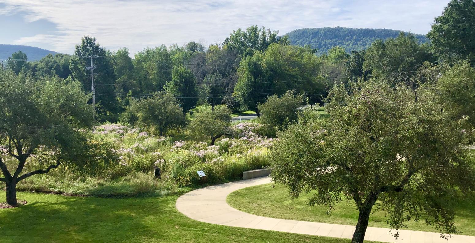 View of Bobbie's Meadow