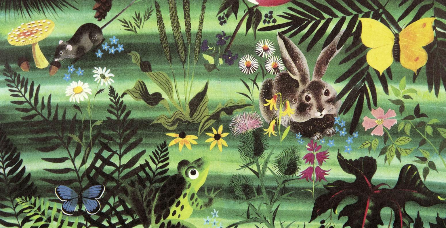 Illustration of bunny and animals in ferns. 